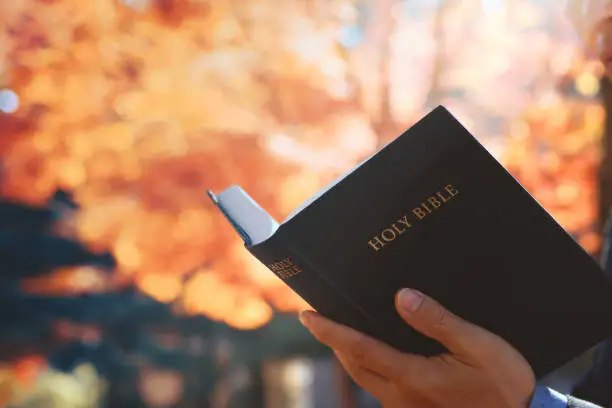 A man holding the Bible outdoors