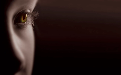 Close-up of beautiful little girl brown eye. 